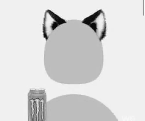 Hình avatar trắng trạng thái chưa hoàn thiện rõ nét.