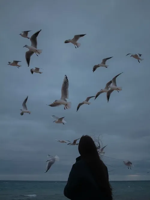 Tập hợp ảnh profile cô đơn nhẹ phù hợp ngày tâm trạng trôi chậm