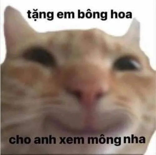 Ảnh chế meme nhạy cảm phụ thuộc mức chịu đựng người xem