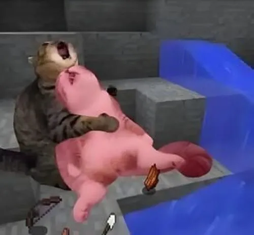 Hình meme hài meme 18+ phụ thuộc ngữ cảnh hiểu ngầm