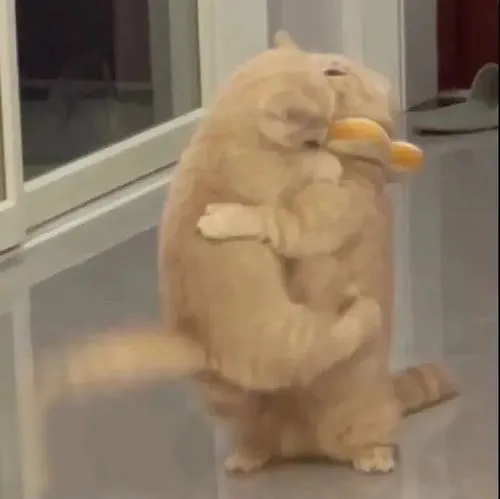 Meme dâm gợi dục nhưng lại khiến người xem cười ngất