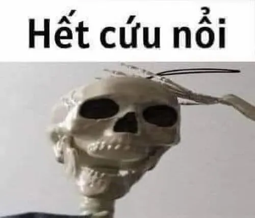 Hình meme Hết cứu với biểu cảm bất lực cộng đồng mạng