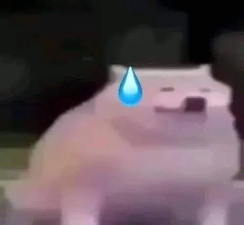 Những khoảnh khắc chú chó nhìn là biết hết cứu thật rồi