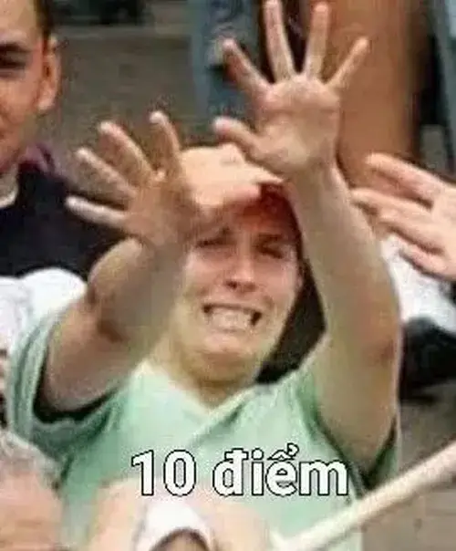 11 Ảnh chế mười điểm theo kiểu nói ngược cho mặn