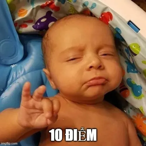 19 Meme hài 10 điểm không cần giải thích nhiều