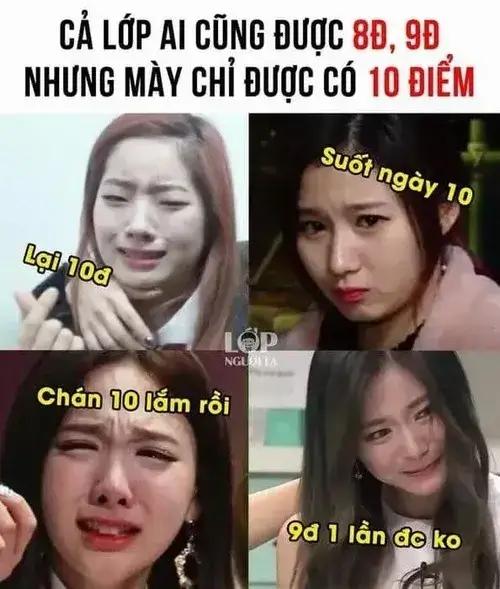 7 Meme 10 điểm cho những khoảnh khắc không biết nói gì