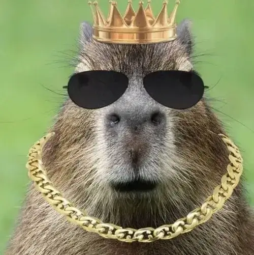 Ảnh troll Capybara vô tri trong tình huống éo le