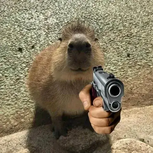 Meme capybara cầm súng dành cho lúc không biết nên phản ứng gì