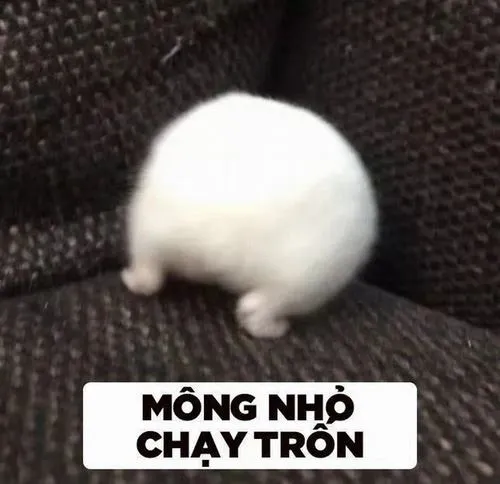 1 Meme chạy trốn nhìn là muốn chuồn ngay khi gặp chuyện khó đỡ