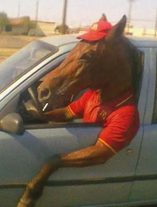 33 Ảnh hài meme ngựa liếc, gương mặt khó đỡ đầy nghi vấn