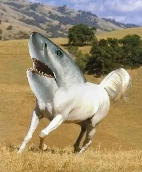 34 Ảnh meme vui ngựa hờn dỗi, miệng ngựa mím lại đáng yêu