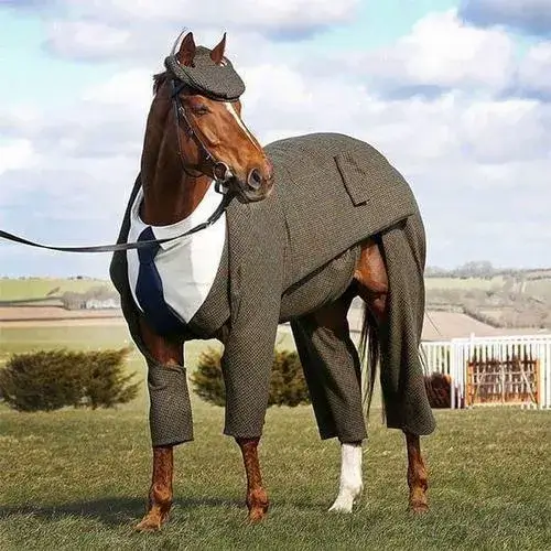 18 Hình meme hài ngựa tủi thân, ánh mắt ngơ đặc trưng nhìn xa xăm