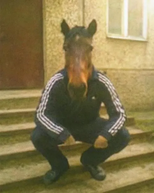 32 Meme vô tri ngựa hoảng hốt, khoảnh khắc bất ngờ ngoài trời