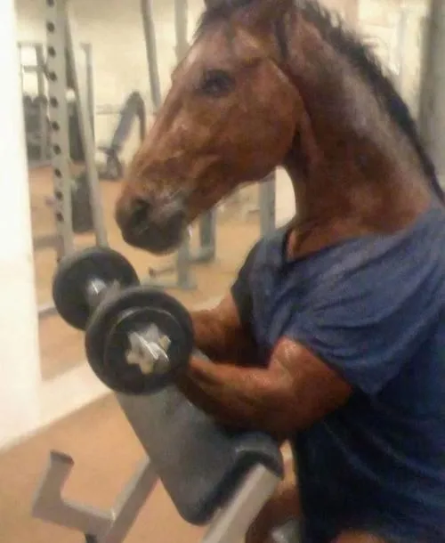 45 Hình chế meme vui ngựa thất vọng, ánh mắt buồn nhìn xa