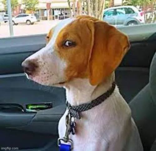 18 Ảnh vui meme bình luận kích thích tranh luận nhẹ nhàng