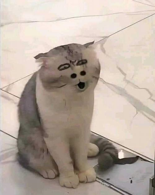 25 Ảnh hài meme chấm điểm hài hước mang sắc thái cảm xúc