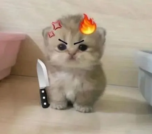 13 Hình meme hài tiếng hét hậm hực vang lên đầy kịch tính