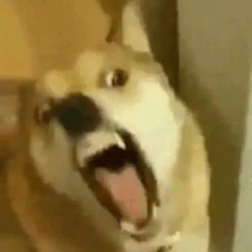 18 Hình troll giận dữ khi nét mặt bực bội bị phóng đại