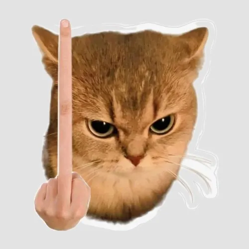 3 Bộ sưu tập meme giận dữ hợp cảnh khó chịu ai cũng từng gặp