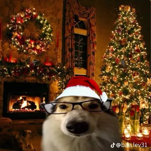 Ảnh vui nhộn Noel mang tinh thần gắn kết cộng đồng cuối năm