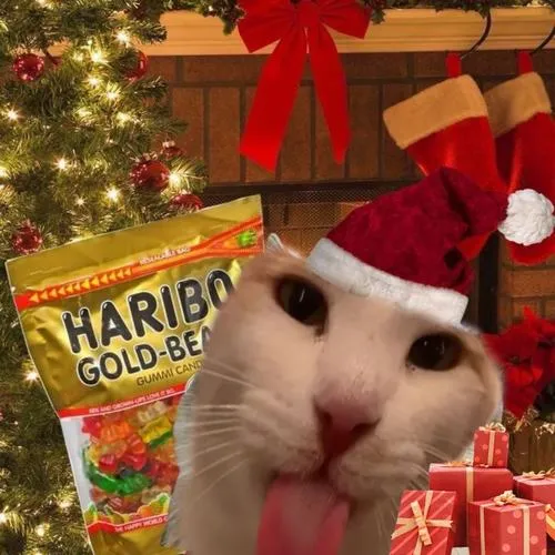 Meme mèo vô tri Giáng sinh phản ánh sự sáng tạo ảnh chế mỗi năm