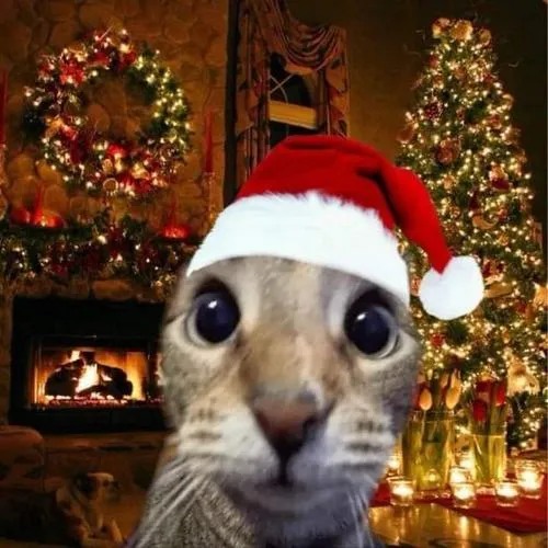 Ảnh troll Giáng sinh thể hiện sự tương phản kỳ vọng và thực tế