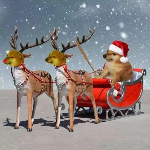 Ảnh hài Noel mô tả nội dung giải trí dễ lan truyền