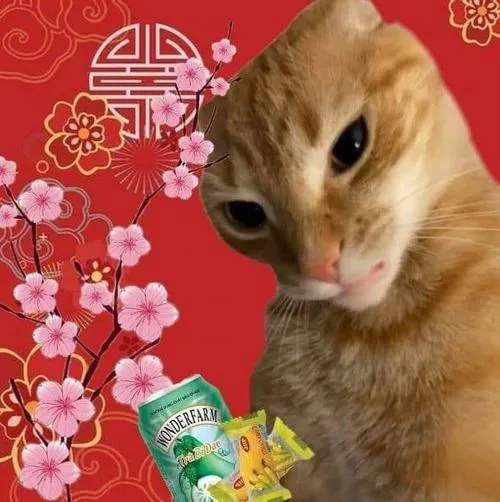 Những meme Tết giúp giải tỏa áp lực họ hàng hỏi han