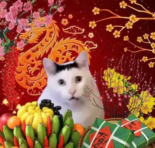 Meme Tết Bính Ngọ hài hước dành cho mùa sum vầy đầy cảm xúc