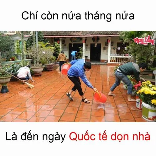 Hình hài Tết châm biếm câu hỏi đời tư lặp lại