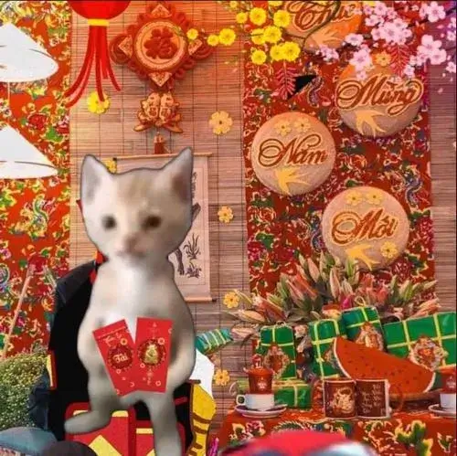 Những meme Tết khiến ai cũng thấy mình trong đó