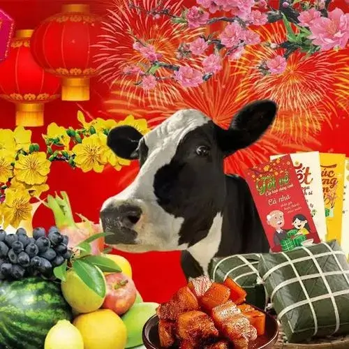 Bộ meme Tết 2026 chạm đúng áp lực quen thuộc ngày xuân