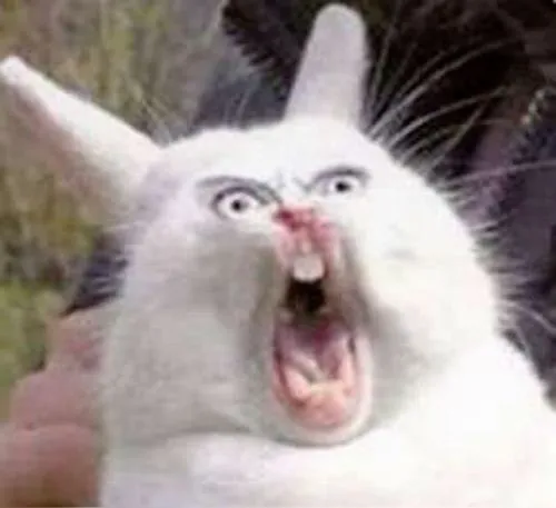 Meme chế trợn mắt truyền tải phản ứng cảm xúc mạnh