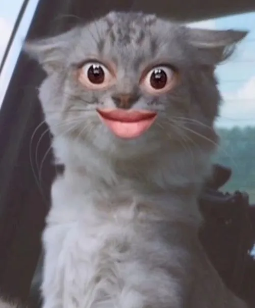 Ảnh hài trợn mắt thể hiện cảm xúc tức thời khó đỡ