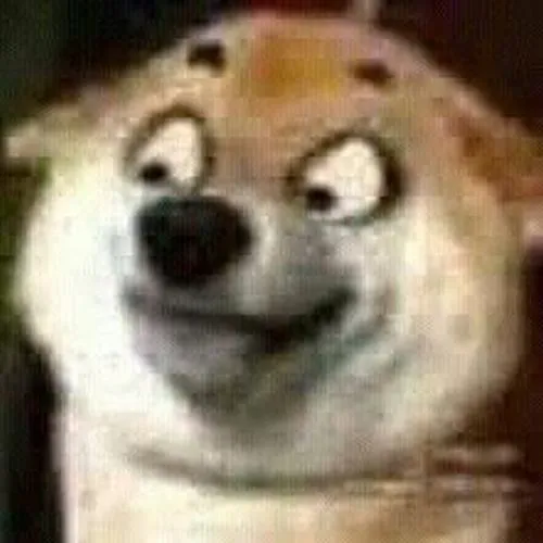 Meme chó Shiba trợn mắt nhìn mà chỉ muốn hỏi thật không vậy