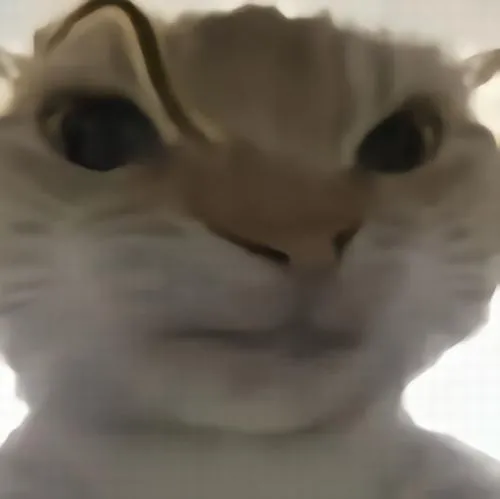 Ảnh vui trợn mắt mỉa mai phản chiếu thái độ ngầm