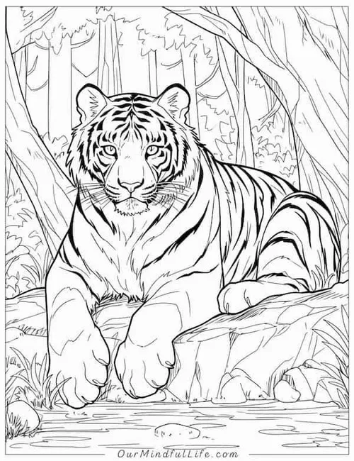 34 Bức tranh tô chú hổ rừng xanh với thân cam rực rỡ