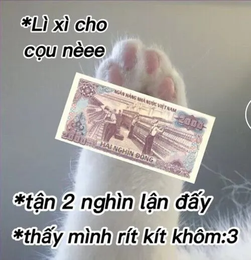 22 Meme chúc mừng năm mới giúp câu chúc bớt khô khan