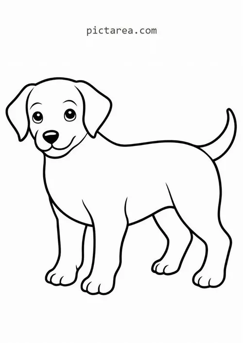 19 Hình tô màu con chó hoạt hình có mắt bi ve và tai cụp mềm mại