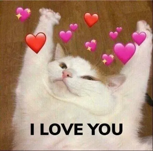 Ảnh chế yêu anh không chịu nổi với phản ứng đáng yêu