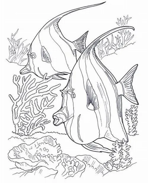 Mẫu tranh tô màu con cá thân tròn nét mềm