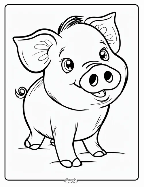 37 Trang tập tô lợn con nằm ngủ ngon cực dễ thương