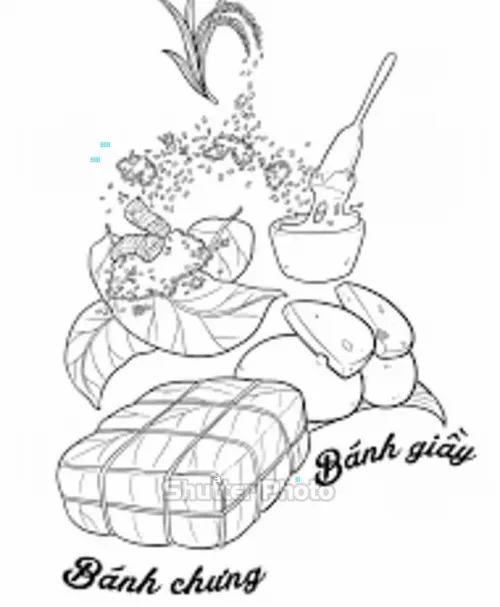 6 Hình vẽ tô màu bánh chưng bánh tét tạo gắn kết giữa bố mẹ và con