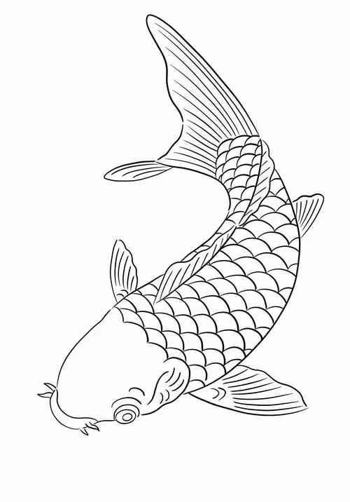 Tranh tô màu cá chép bơi nước thân dài vảy tròn