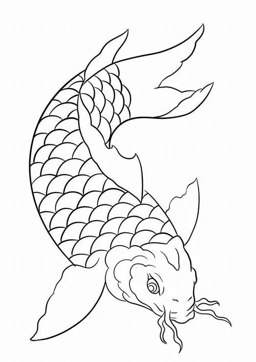 Tô màu vui cá chép và lá sen thư giãn