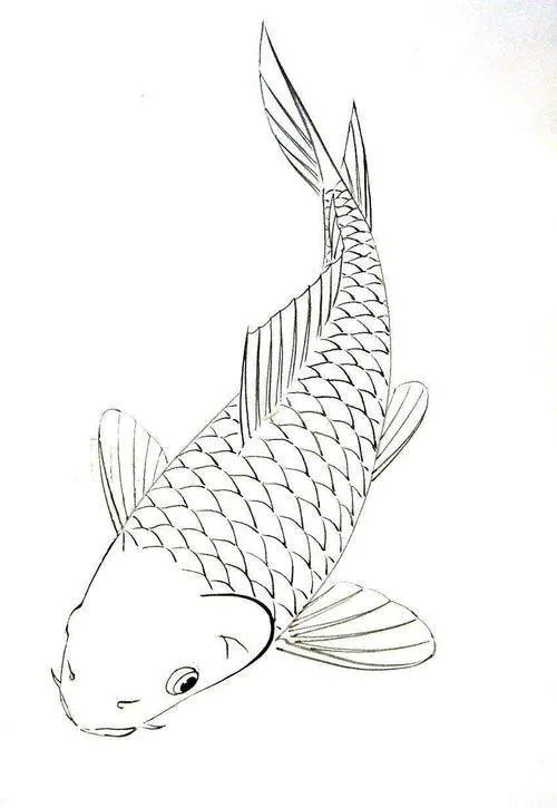 Tranh bé tập tô cá chép cảnh đuôi xòe mềm mại