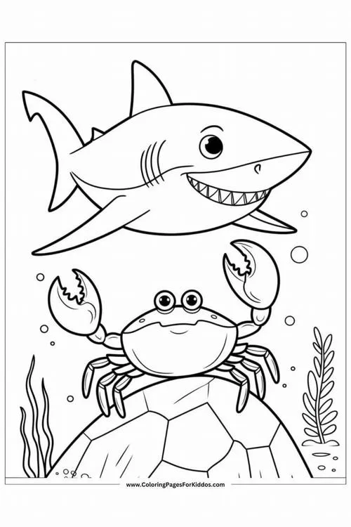 Tranh tô màu cá mập hoạt hình tập trung sáng tạo