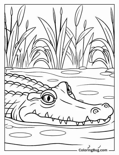 Cùng con tô màu cá sấu và kể chuyện sông rừng