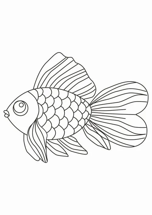 In hình tập tô cá đuôi xòe dáng bơi uyển chuyển