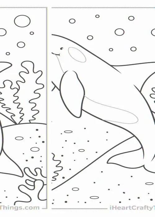 23 Cách tô cá voi phun nước tạo cảm giác yên bình